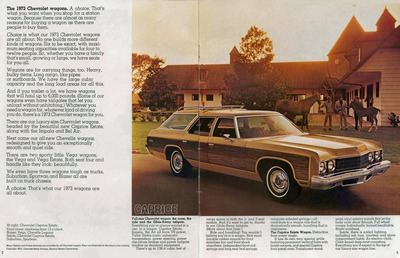 1973 Chevrolet Wagons (Rev)-02-03.jpg